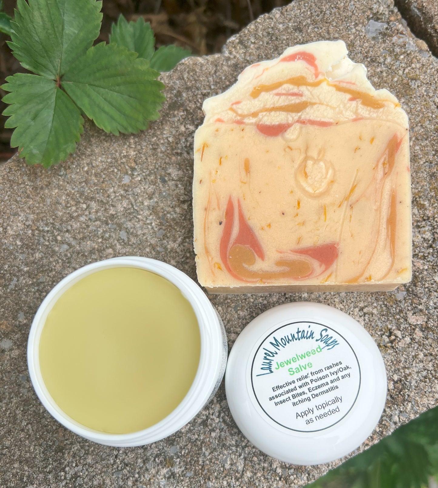 Jewelweed Soap and Salve Bundle