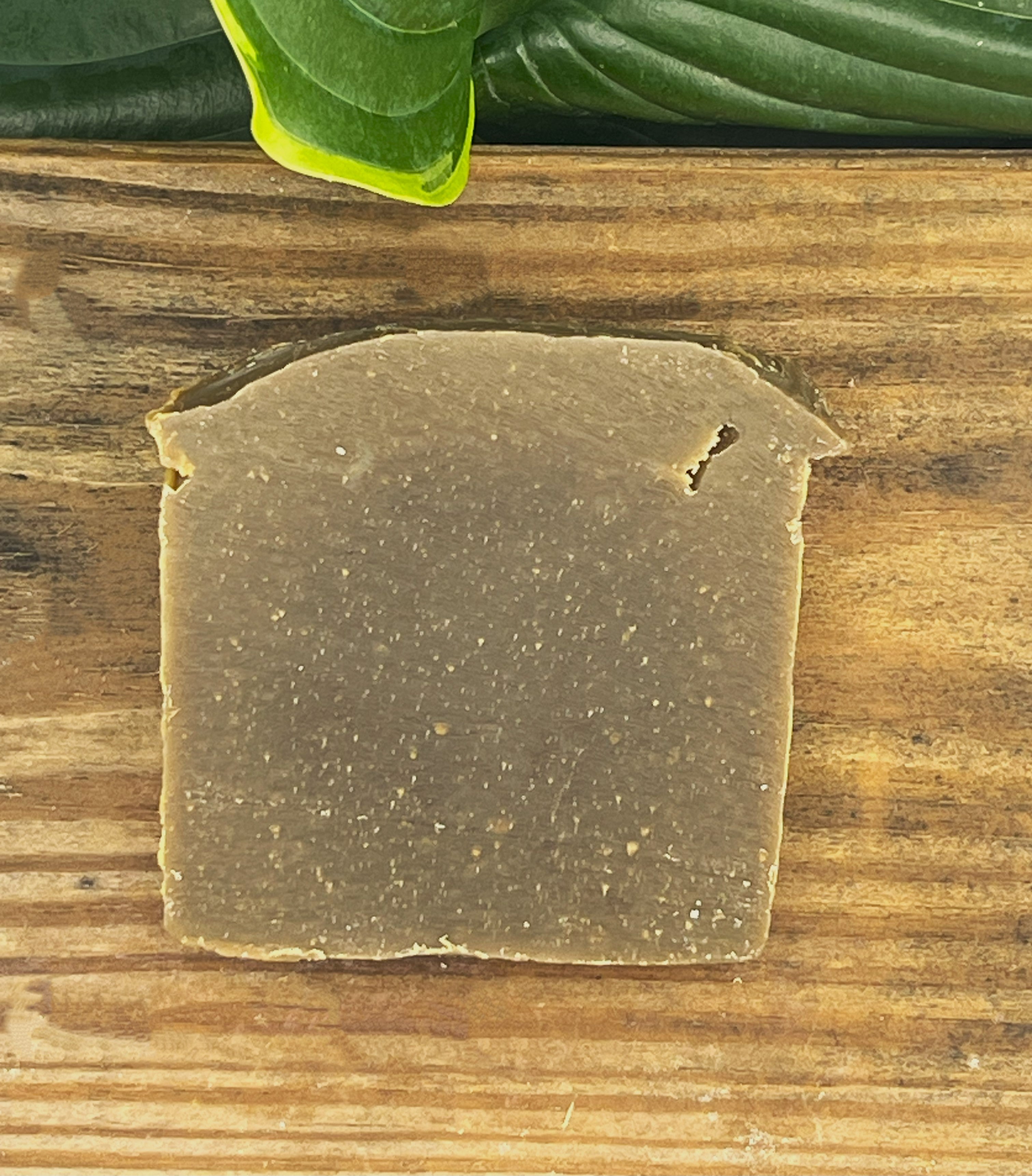 Pine Tar Soap -- goat milk soap with pine tar & essential oils