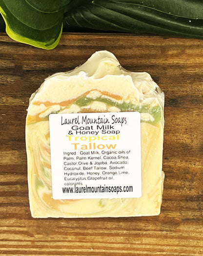 Tropical Punch Tallow Goat Milk and Honey Soap