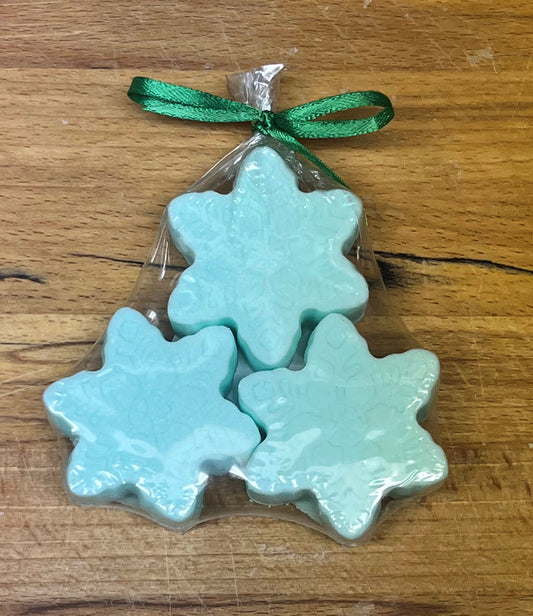 Eucalyptus/Peppermint Shower Fizzies